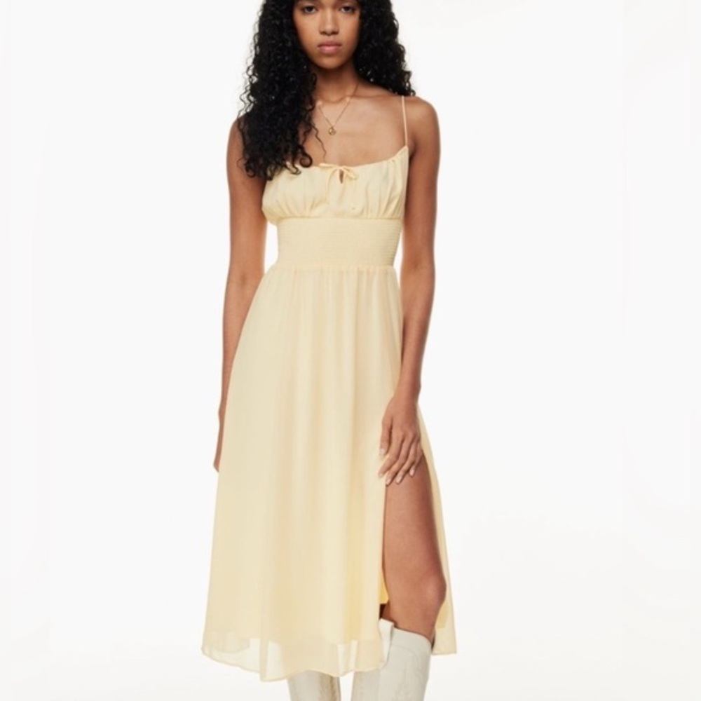New Aritzia Wilfred Genoa Chiffon Smoke Slit Dress